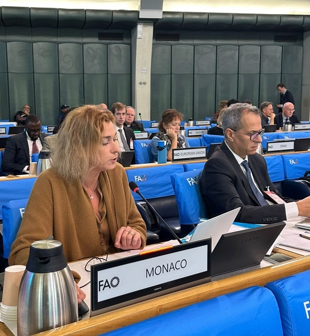 51ème session du Comité de la sécurité alimentaire mondiale