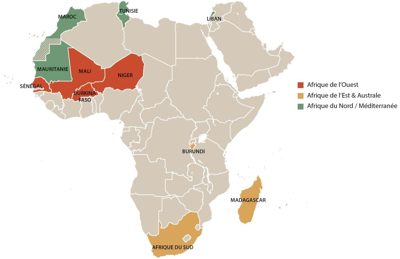 Carte des pays d'intervention 2002-2024