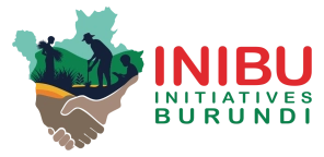 INIBU call for projects: launch of the very first edition today!