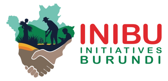 INIBU call for projects: launch of the very first edition today!