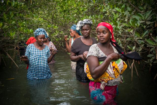 Entrepreneuriat des femmes et des jeunes